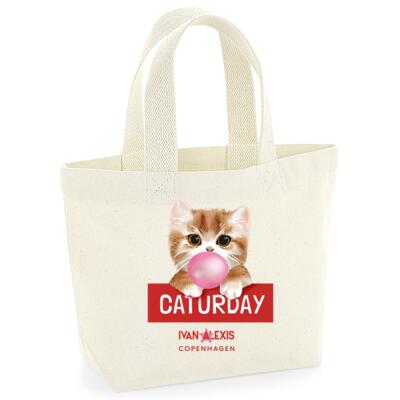 TEDDY CAT CATURDAY Thumbnail