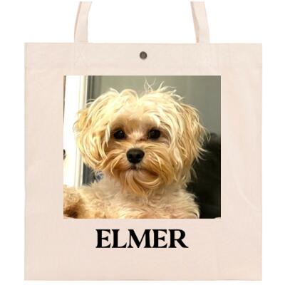 Elmer1 Thumbnail