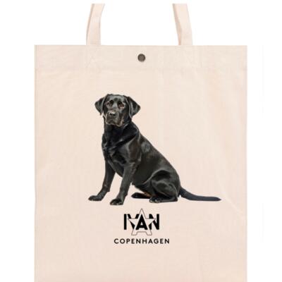 LABRADOR Thumbnail