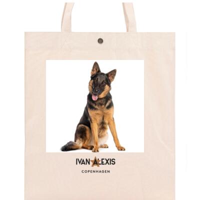 German Shepherd SITTING Thumbnail