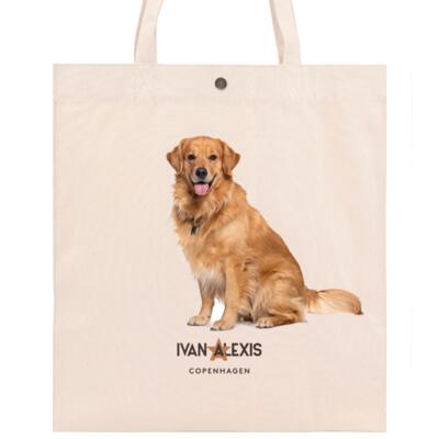 Golden Retriever SITTING Thumbnail