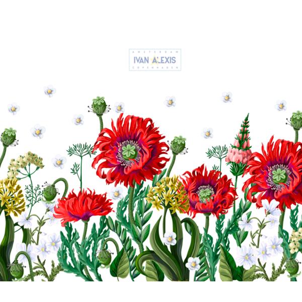 2062 AMS 3024 MOCKUP Thumbnail