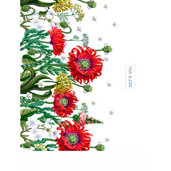 2062 AMS 3024 SEMI AO Thumbnail