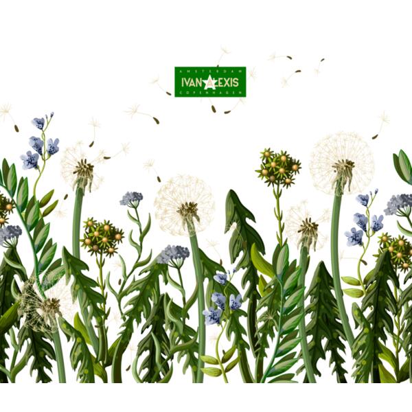 2065 AMS 3024 MOCKUP Thumbnail