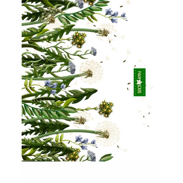 2065 AMS 3024 SEMI AO Thumbnail