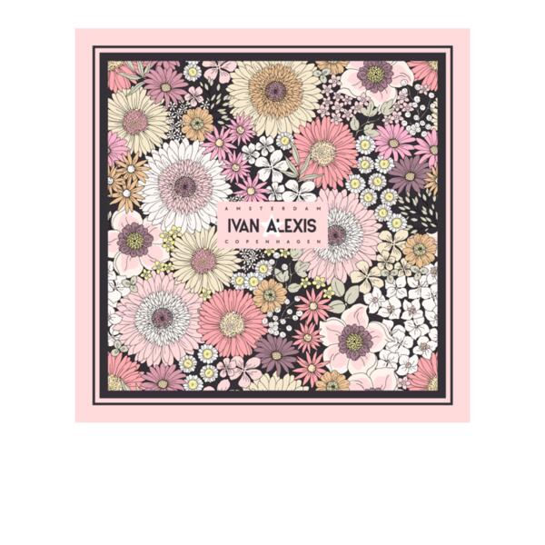 3051 AMS 3024 Thumbnail