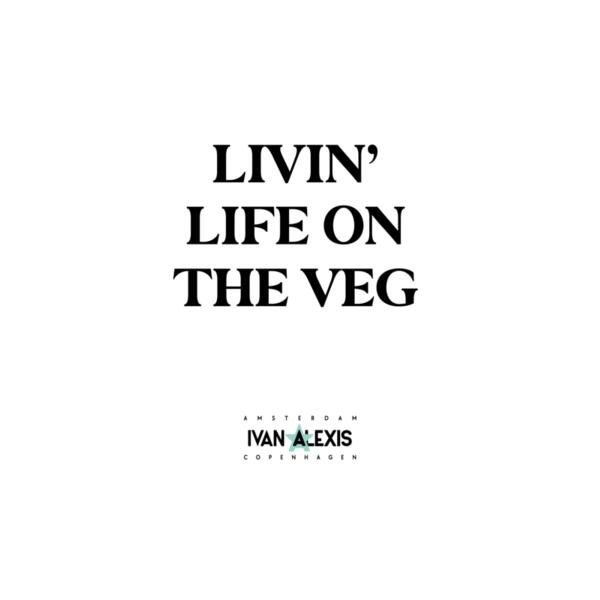 13035 AMS 3016 Thumbnail