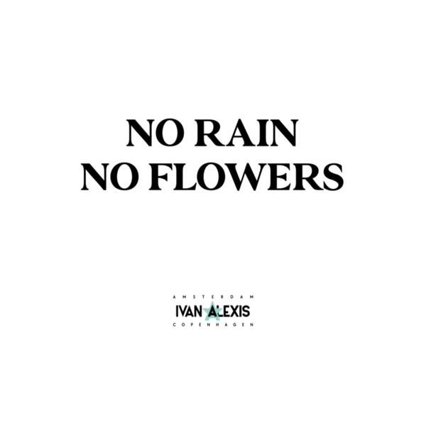 13153 AMS 3016 Thumbnail