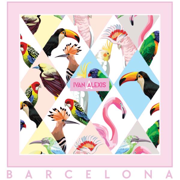 3012 BCN 3024 DTF Thumbnail