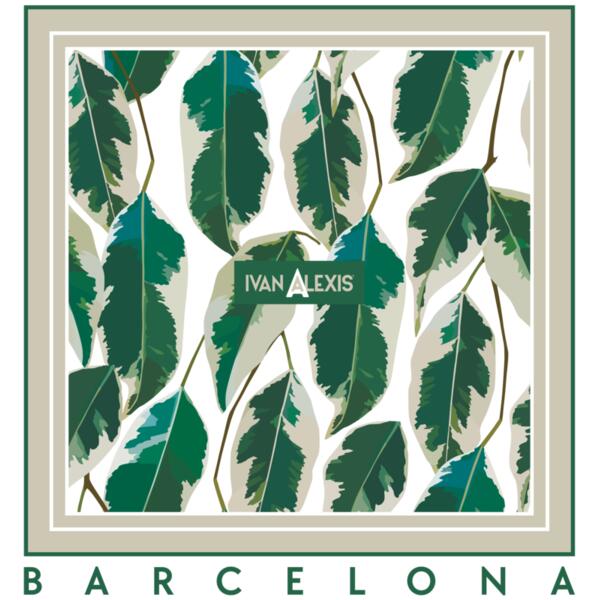 3018 BCN 3024 DTF Thumbnail