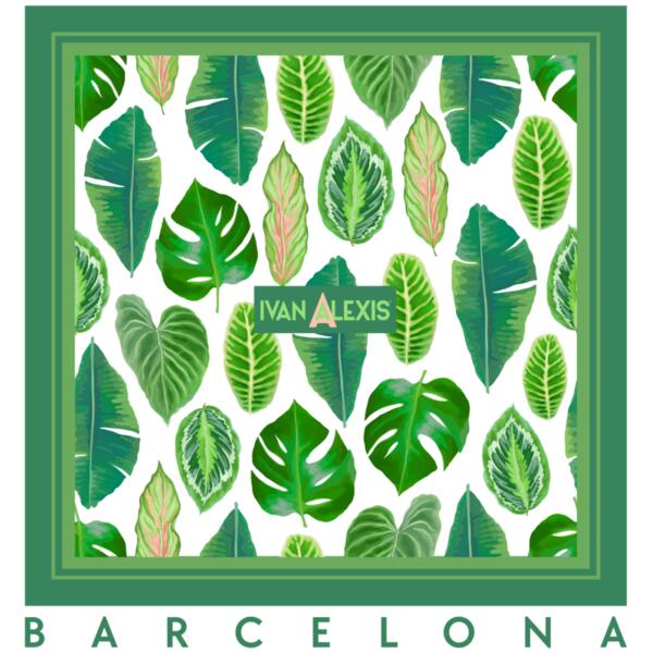 3048 BCN 3024 DTF Thumbnail