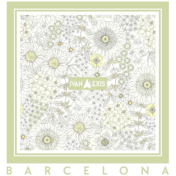 3052 BCN 3024 DTF Thumbnail