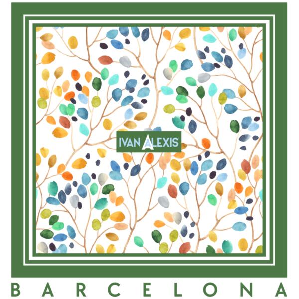 3066 BCN 3024 DTF Thumbnail