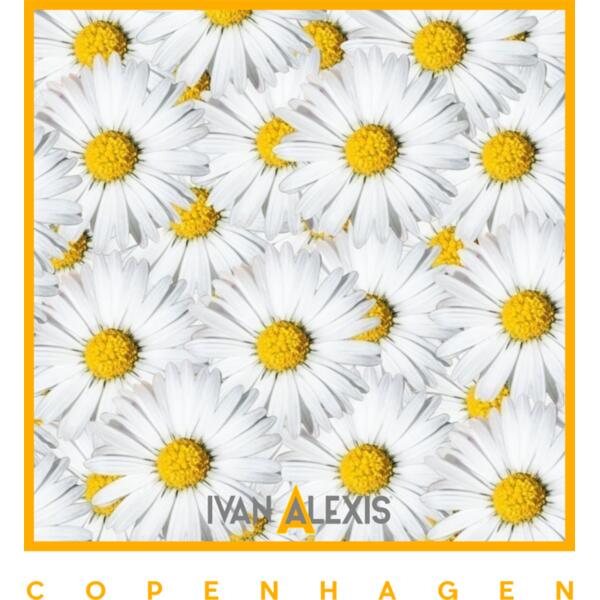 img 001CPH Daisy WHITE Thumbnail