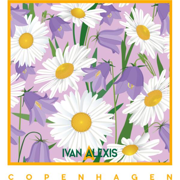 img 004CPH Daisy lila yellow Thumbnail