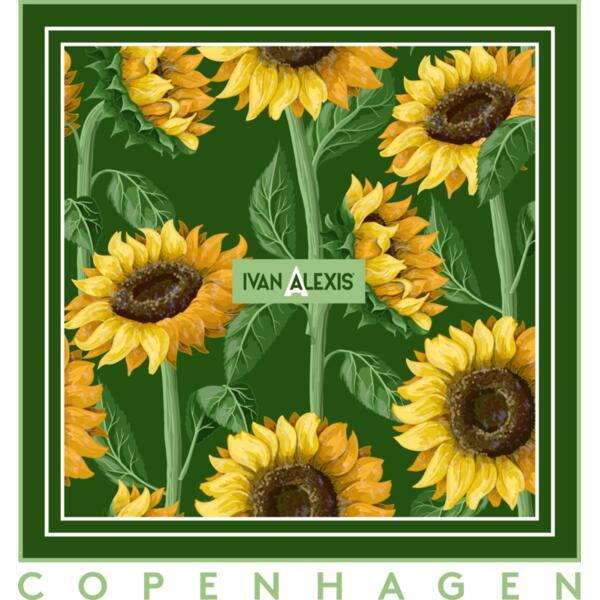 img 2015 CPH 3024 Thumbnail