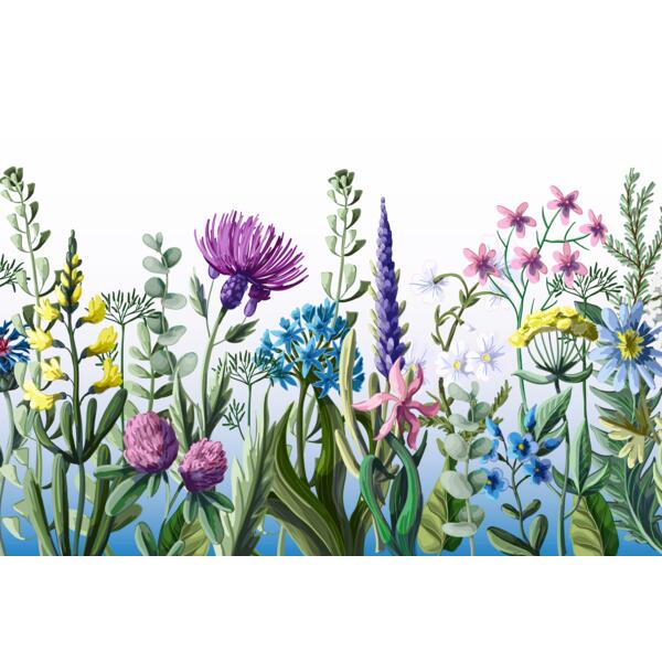 img 2060 AMS 3024 SEMI AO   Mockup Thumbnail