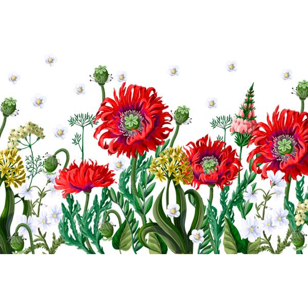 img 2062 AMS 3024 MOCKUP Thumbnail