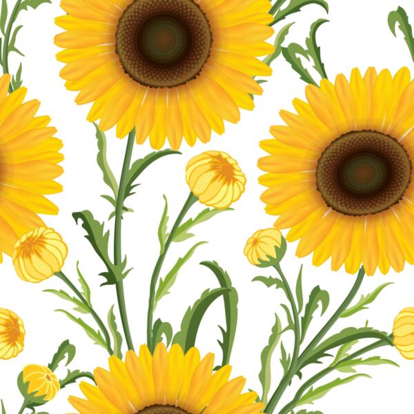 Shutterstock 394224961 Thumbnail