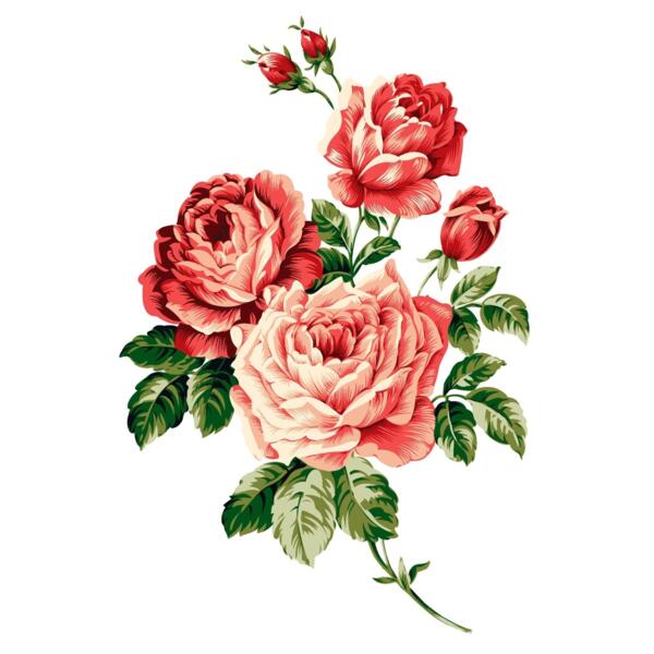 3 roses free cph Thumbnail