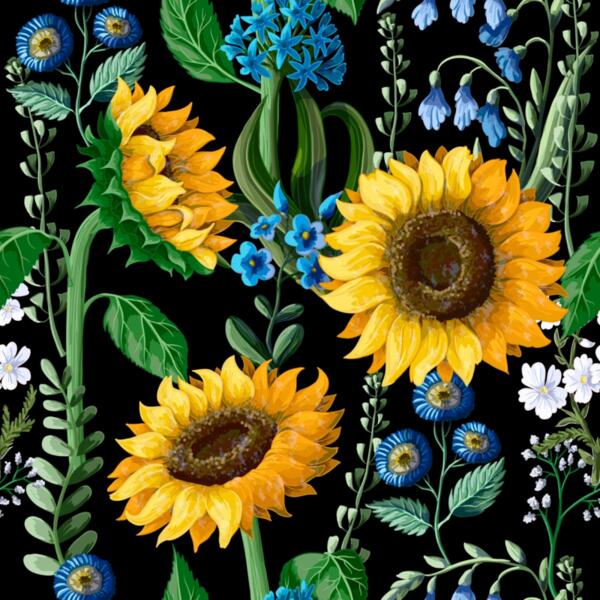 sunflower on black Thumbnail