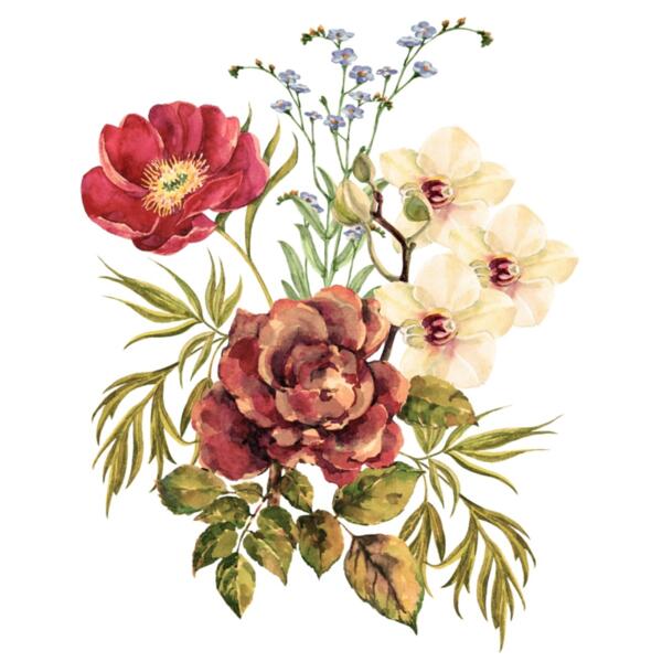 Autom free first Thumbnail