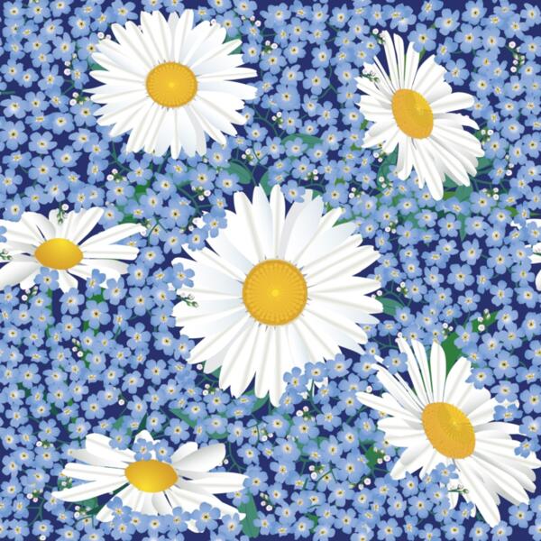 Daisy on small blue flowers Thumbnail
