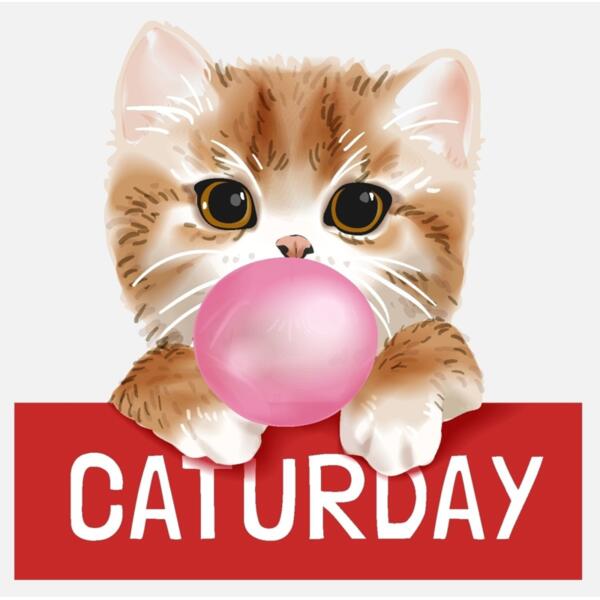 Caturday Thumbnail