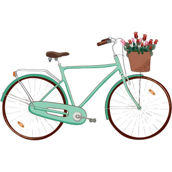 MINT GREEN BIKE FOLVER Thumbnail