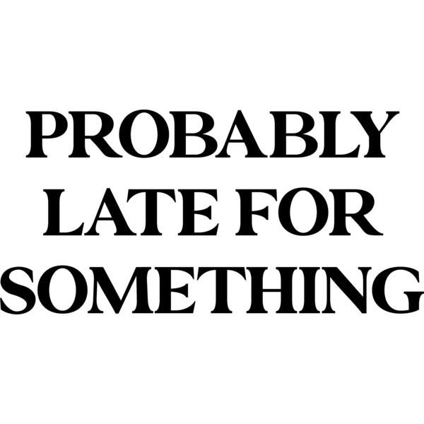 img 13026 AMS 3016 01 Thumbnail