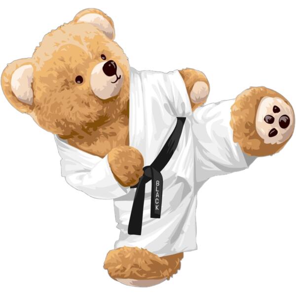 Teddy karate kik Thumbnail
