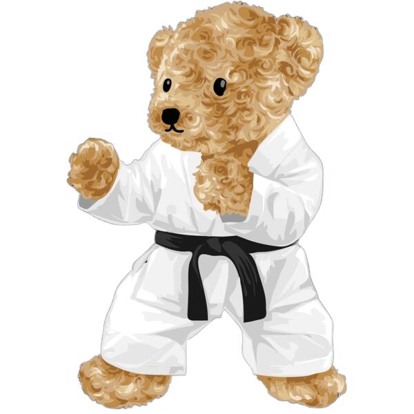 Teddy karate Thumbnail