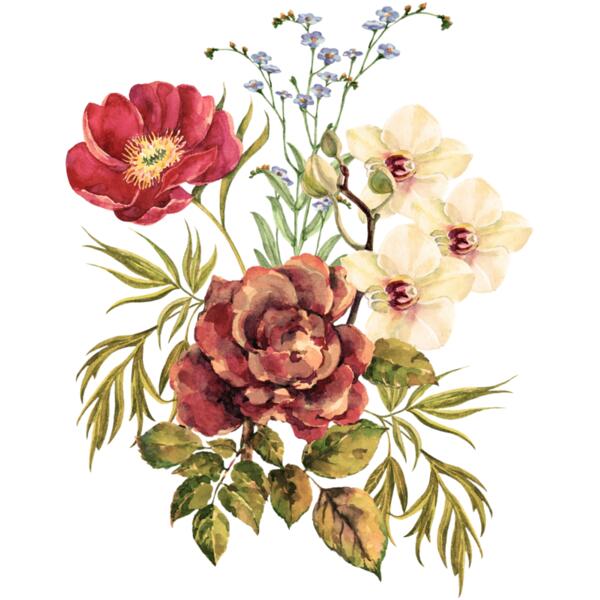 Autum no background Thumbnail