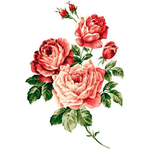 3 rose free cph Thumbnail