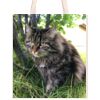 Bag 39x45 Heavy Soft Long Handle & pocket Allover Print Thumbnail