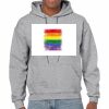 Heavy Blend  Adult Hooded Sweatshirt - BT 18500 Thumbnail